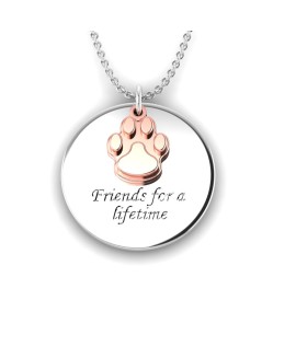 Love is a Moment - "Friends" engraved message silver pendant and chain with pawprint gold charm 