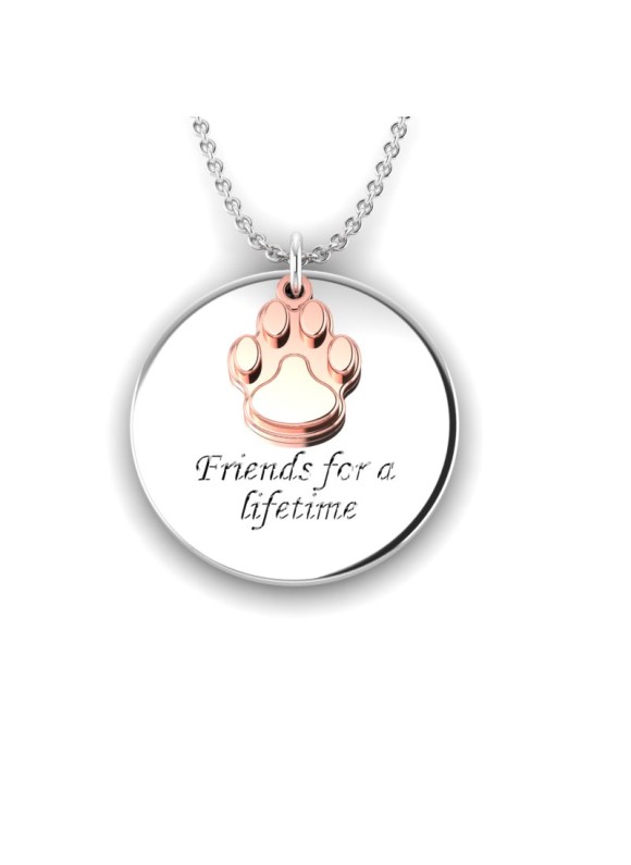 Love is a Moment - "Friends" engraved message silver pendant and chain with pawprint gold charm